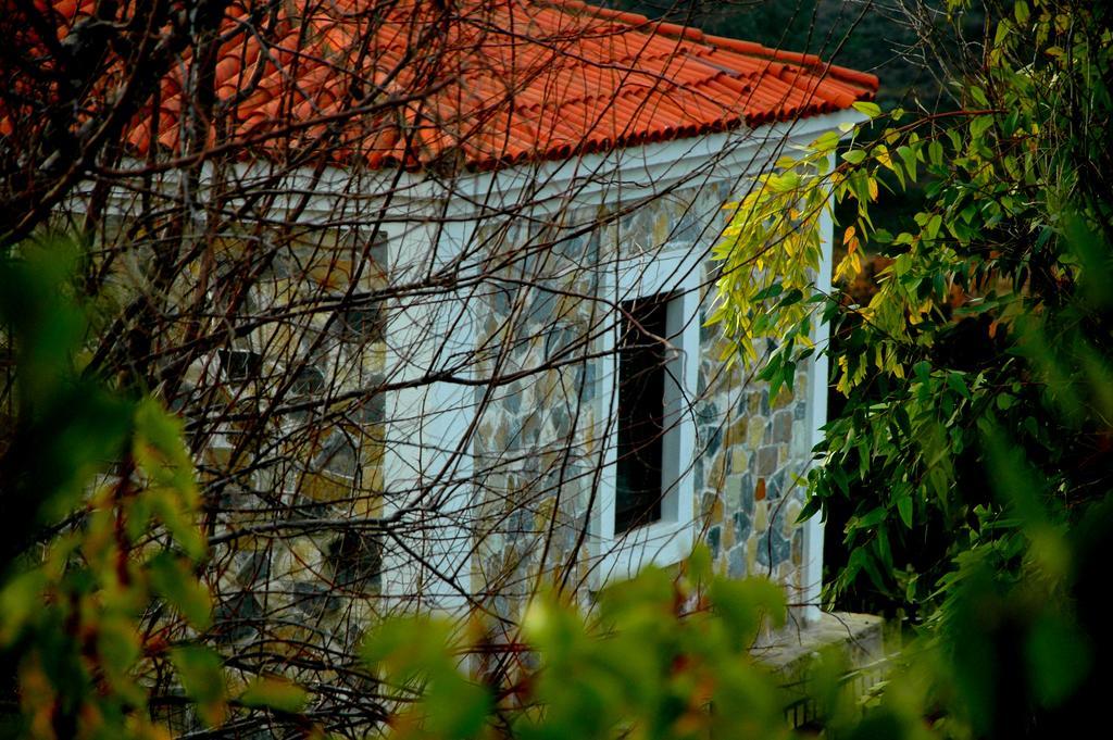 Mavikarga Bozcaada Bed & Breakfast Eksteriør bilde